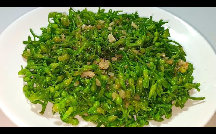 THIÊN LÝ XÀO TỎI
